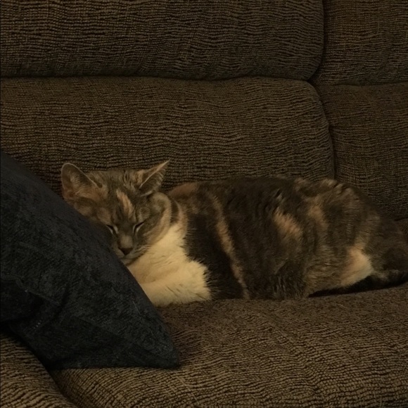 Meet your Posher, Traci - Picture 1 of 1